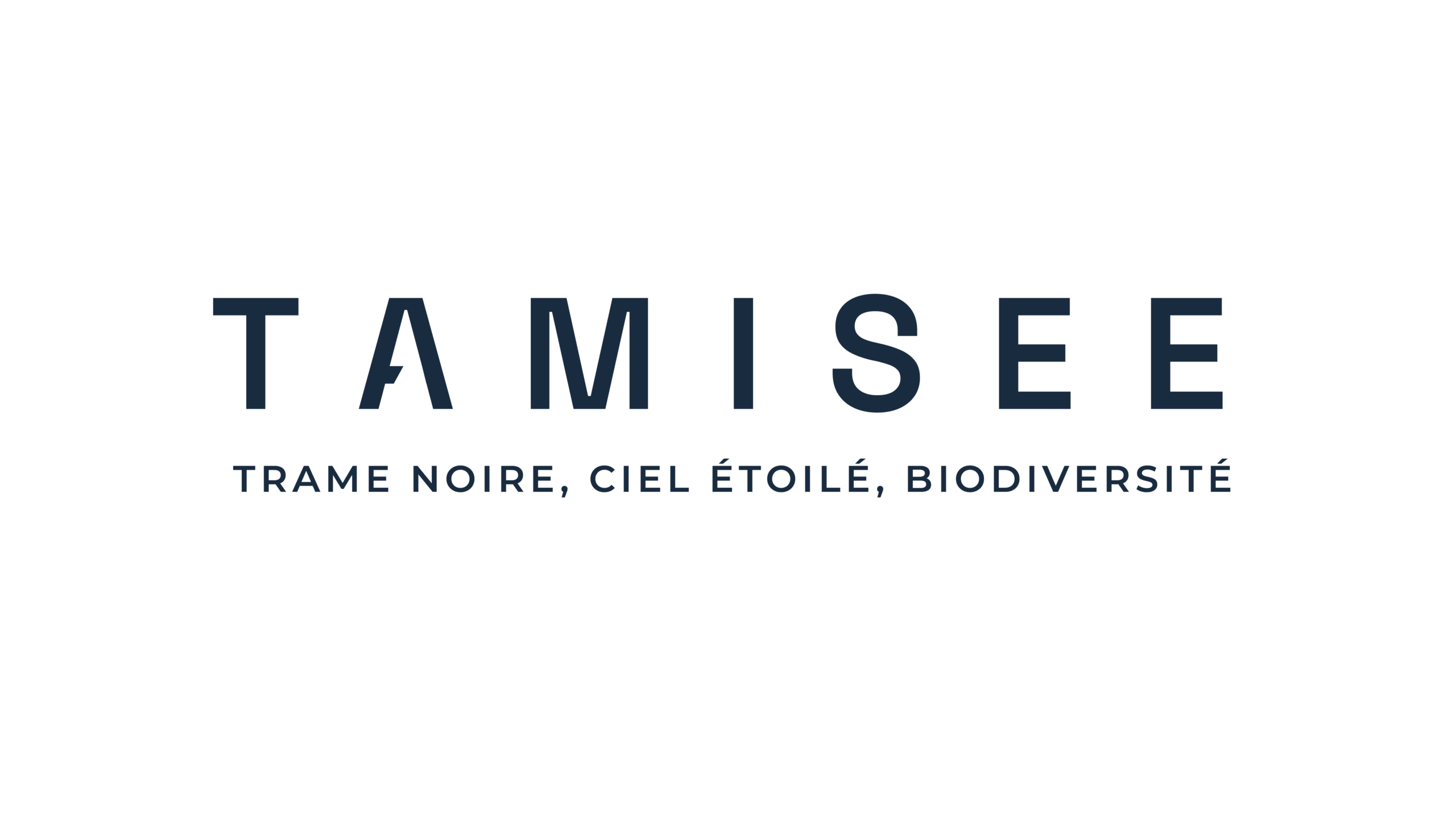 TAMISEE