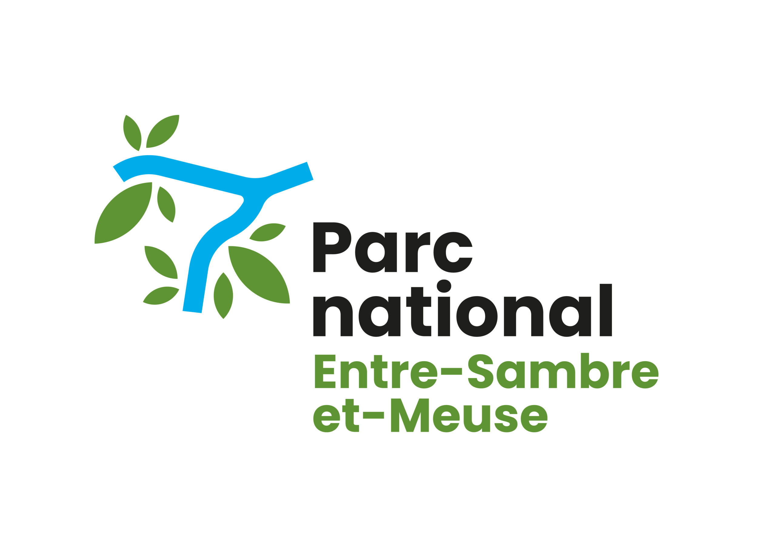 PN-ESM-LOGO-RVB