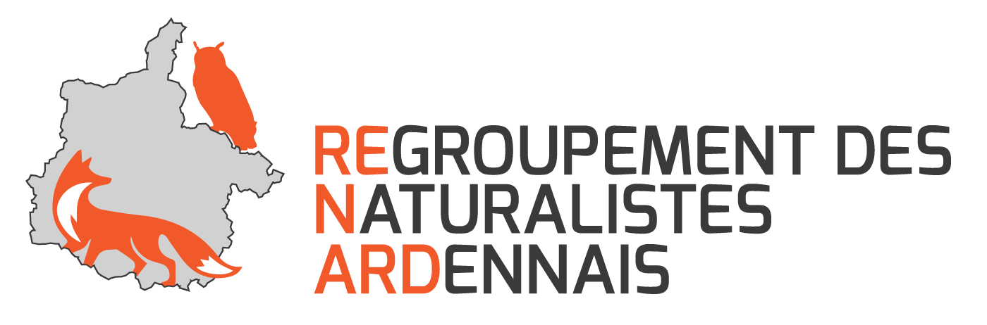 ReNArd_LOGO-FINAL