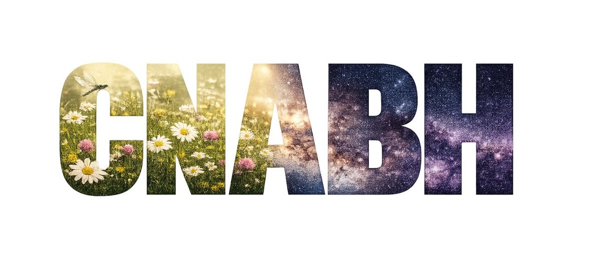 logo CNABH-26